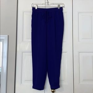 J Crew Cropped Jogger Style Pants